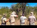 Elephant Hunt Up Close ~ Bull taken at just 21 feet!