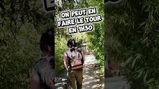 Petit parc pépite près de #marseille ! #parc #zoo #shorts #couple