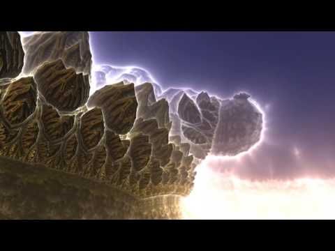 Our Role Is Not To Understand But To Appreciate - Terence McKenna