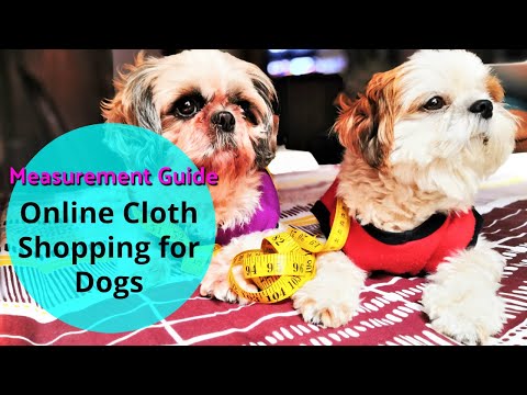 How To Take Measurements of Your Dog For Clothing Video