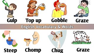 Vocabulary: Eating and drinking related || English Vocabulary and words ||
