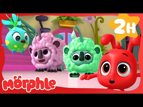 Counting Rainbow Sheep 🐑🌈 | Cartoons for Kids | Mila and Morphle