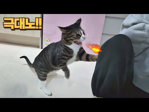 뒤에서 깝치다 걸린 친구1 최후ㅋㅋ 큰언니도 못한 걸 친구가 해냈어요