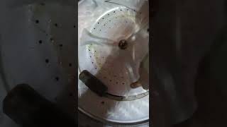 Whirlpool Washer WTW5000DW1 Not Spinning