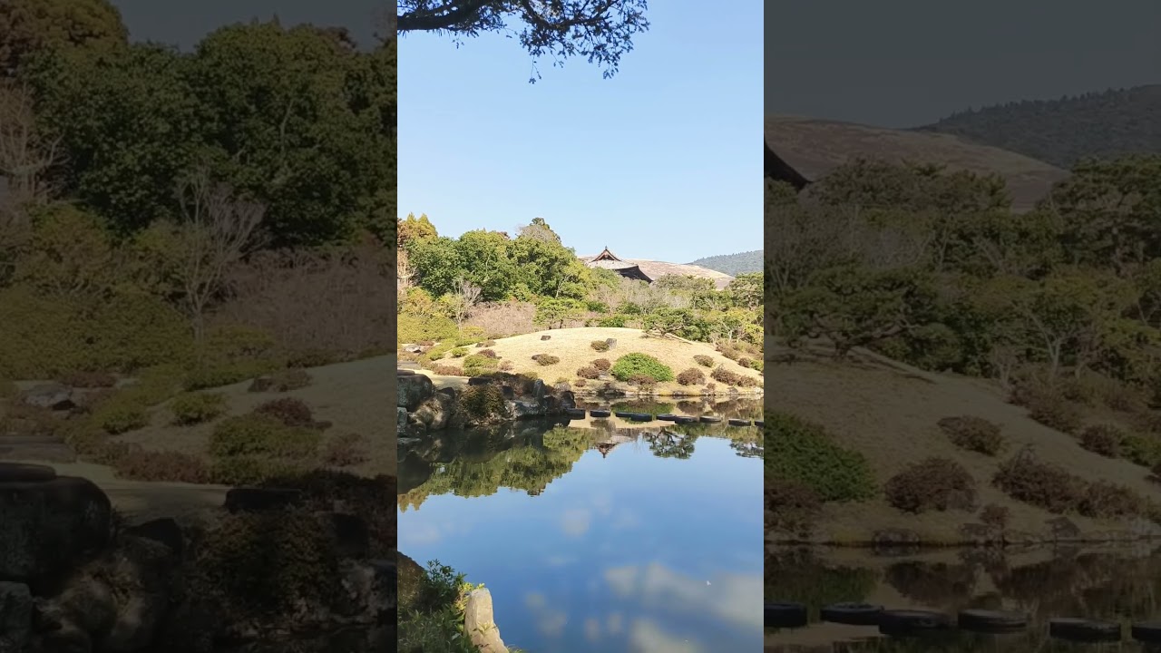 YouTube Short thumbnail