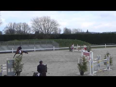 clearstay 9year old mare by clearway 1m40 csi sancourt