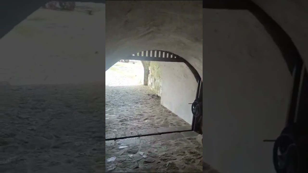 YouTube Short thumbnail