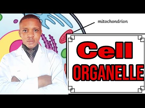 Cell Structure and cell Organelles /  Jamb Biology/GSCE/MCAT/WAECE/A LEVEL/0 LEVEL/NECO /POSTUME
