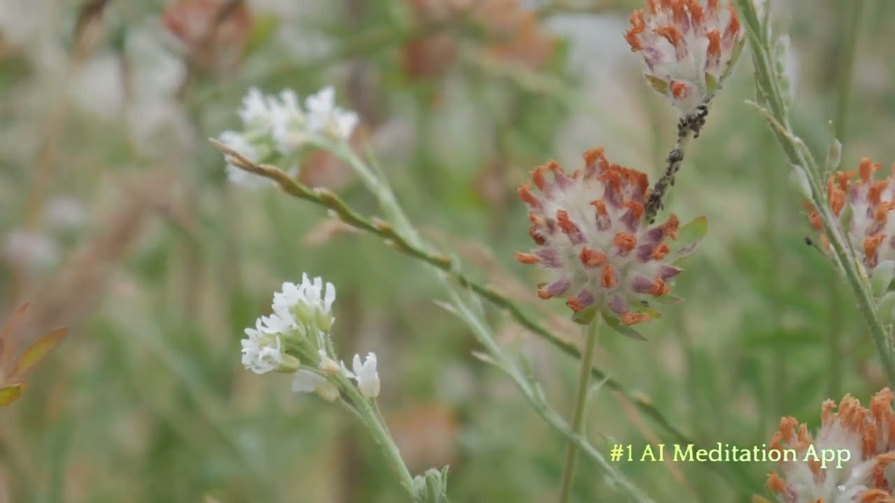 Understanding the Importance of a Sitemap, sitemap.html