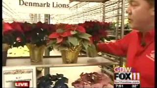 preview picture of video 'Denmark Lions Poinsettia Sale'