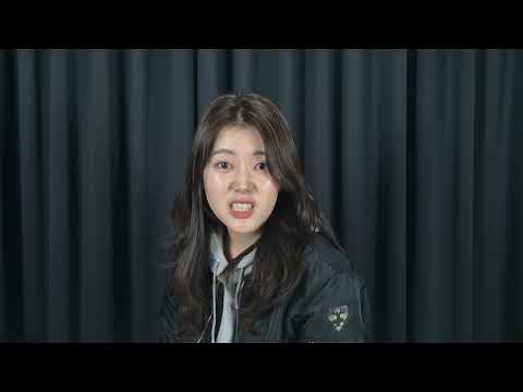 비디오 13