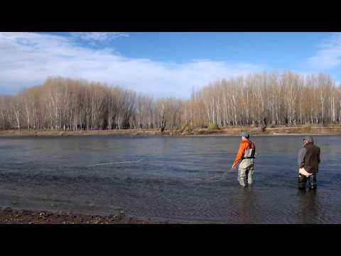 Spey con mano izquierda