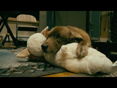 Stick Figure – One Take Live Dub Session