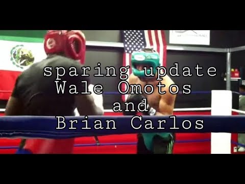 Latest sparing Brian Carlos vs Wale Omotoso