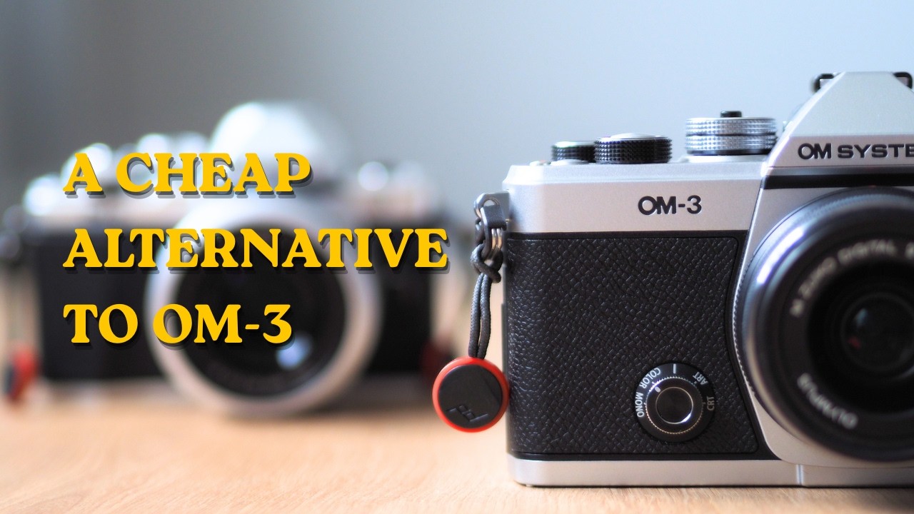 Cheap Alternative to OM-3? Here’s My Choice