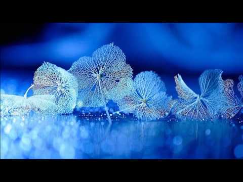 Morandi feat  Inna - Summer In December (lyrics)