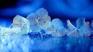 Morandi feat  Inna - Summer In December (lyrics)