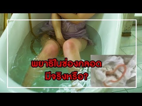 สมาชิกที่เล็กที่สุดของ Do การกระทำวิดีโอหญิงเชื้อโรค