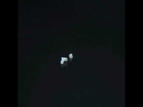 YouTube 썸네일