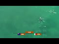 2021 World Rowing Beach Sprint Finals, Oeiras, Portugal - Peloro Italia - Giovanni Ficarra CM1x