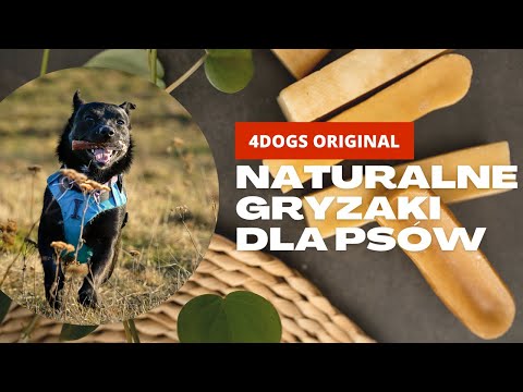 Oficjalny sklep 4Dogs Original