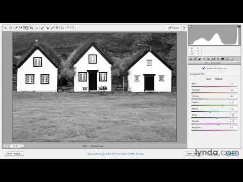 Editing images directly with the Targeted Adjustment tool - Adobe Photoshop Essential