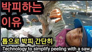 박피를 왜하나?톱으로 박피를 간단히 Technology to simplify peeling with a sa…