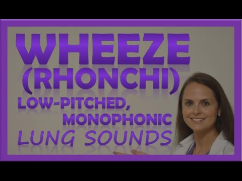 Wheezes Lung Sounds Monophonic Rhonchi Breath Sounds Abnormal Sonorous Wheeze