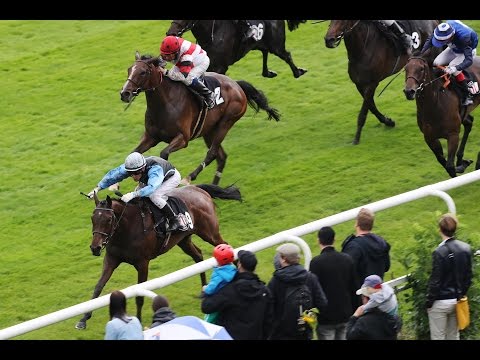 Hamburg: Hamburger Stutenmeile (Gruppe 3) - Siegerin: Shy Witch