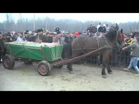 Botezul cailor Slatioara(2012)