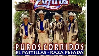 Los Quinis - Los Zafiros Del Norte...(Puros Corridos)