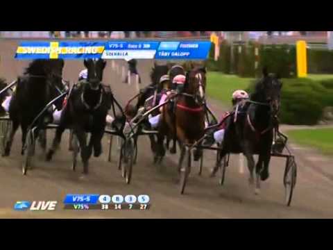 Grand Prix de l'UET 2013  Sieger Mosaique Face