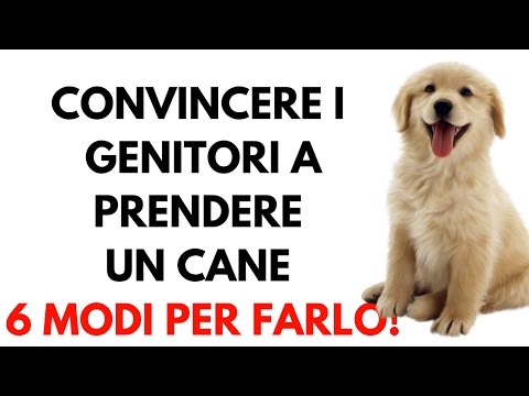 Chirurgia di sostituzione del ginocchio persona anziana Kirov osteocondrosi cervicale