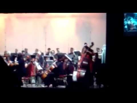 Schindler's List Theme Song by Symphony Orchestra of Sri Lanka