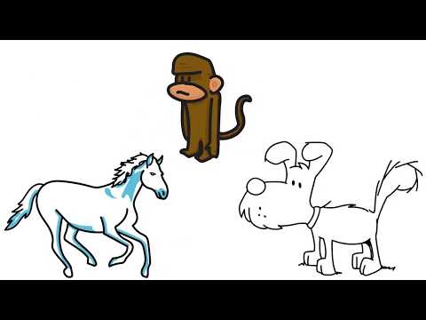 Things You Should Know About Valley Fever