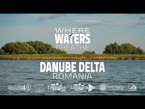 Where Waters Breathe | Danube Delta - Romania | Documentary Series