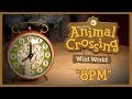 Animal Crossing: Wild World ~ 8PM (Cover) Feat. Ifnot
