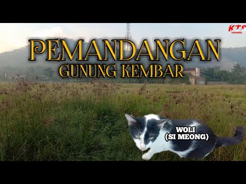 menikmati-pemandangan-gunung-kembar-bersama-kucing