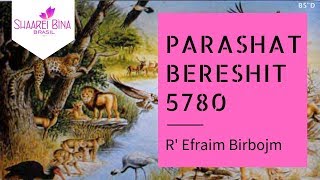 Parashá Bereshit 5780/ 2019