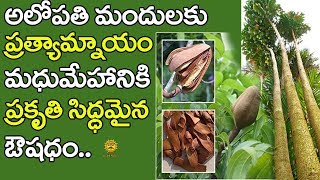 మధుమేహానికి ప్రకృతి సిద్ధమైన ఔషధం ఈ పండు..Sky Fruit for Diabetes | Health Masters