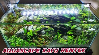 Download lagu Aquascape Kayu Rentek mp3