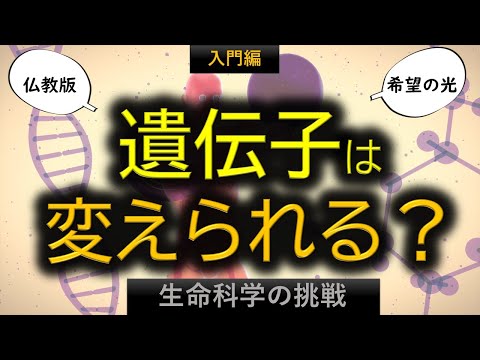 遺伝子は幸せな関係を築くかどうかに影響を与える