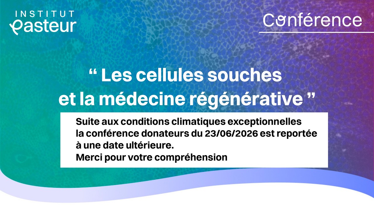 Conférences à l’attention des donateurs et amis de l’Institut Pasteur - Les cellules souches
