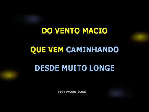 Viagem - Marisa Gata Mansa