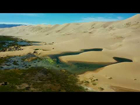 Khongor Sand Dunes