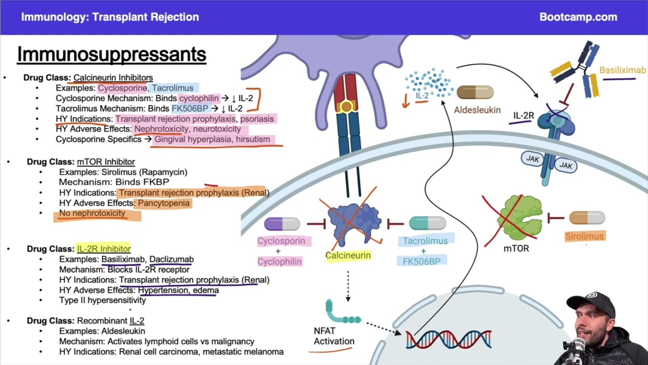 Immunosuppressant Pharmacology for Step 1 | Immunology | Med School Bootcamp