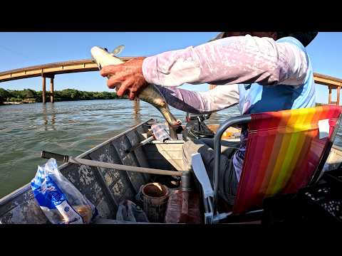 PIAU GIGANTE NO RIO PARANAPANEMA EM PORECATÚ PR , 3 PINTAS DESSE TAMANHO É O PRIMEIRO , FERREIRO !!!