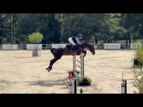 16. Indiga Show | 7yo Final 1.35/1.40 Class