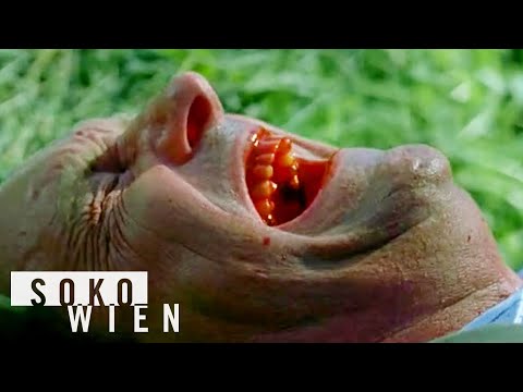 ᴴᴰ SOKO Wien 2024 | Ein mörderischer Plan - Machtspiele | Komplette Folge