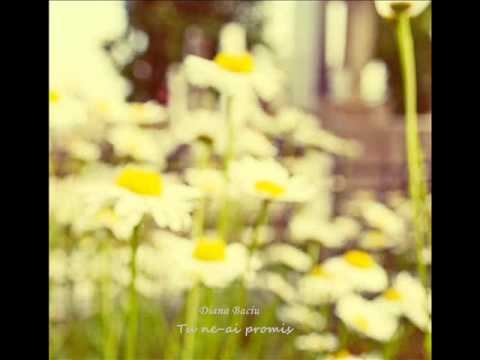 Diana Baciu - Tu ne-ai promis